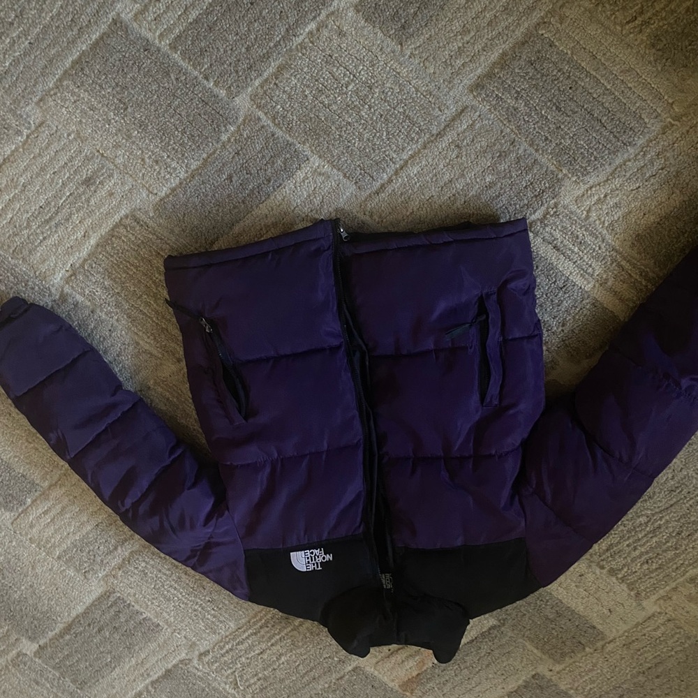 The north face 1996 Retro nuptse 700
